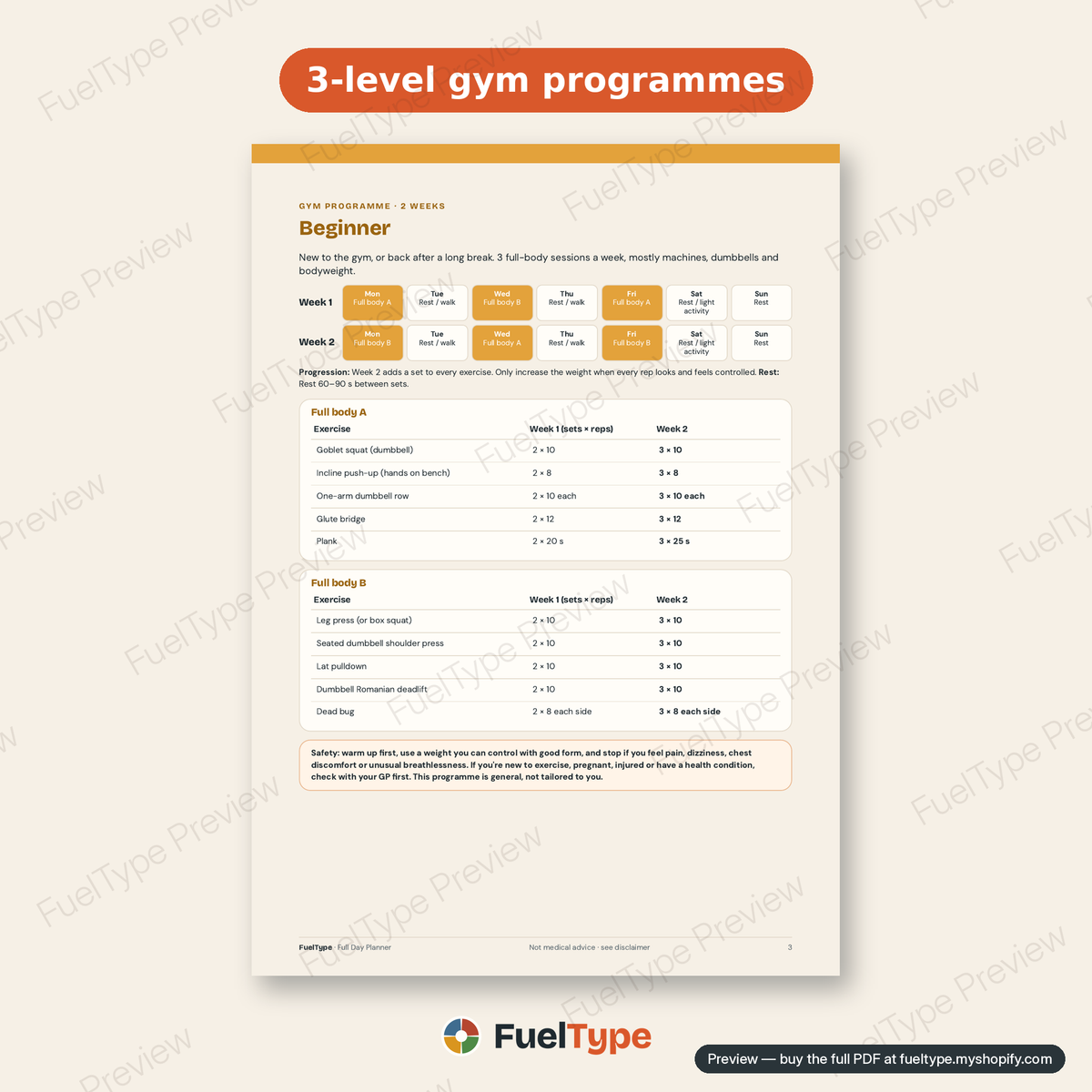 Full Day Planner: inside page preview, 3-level gym programmes